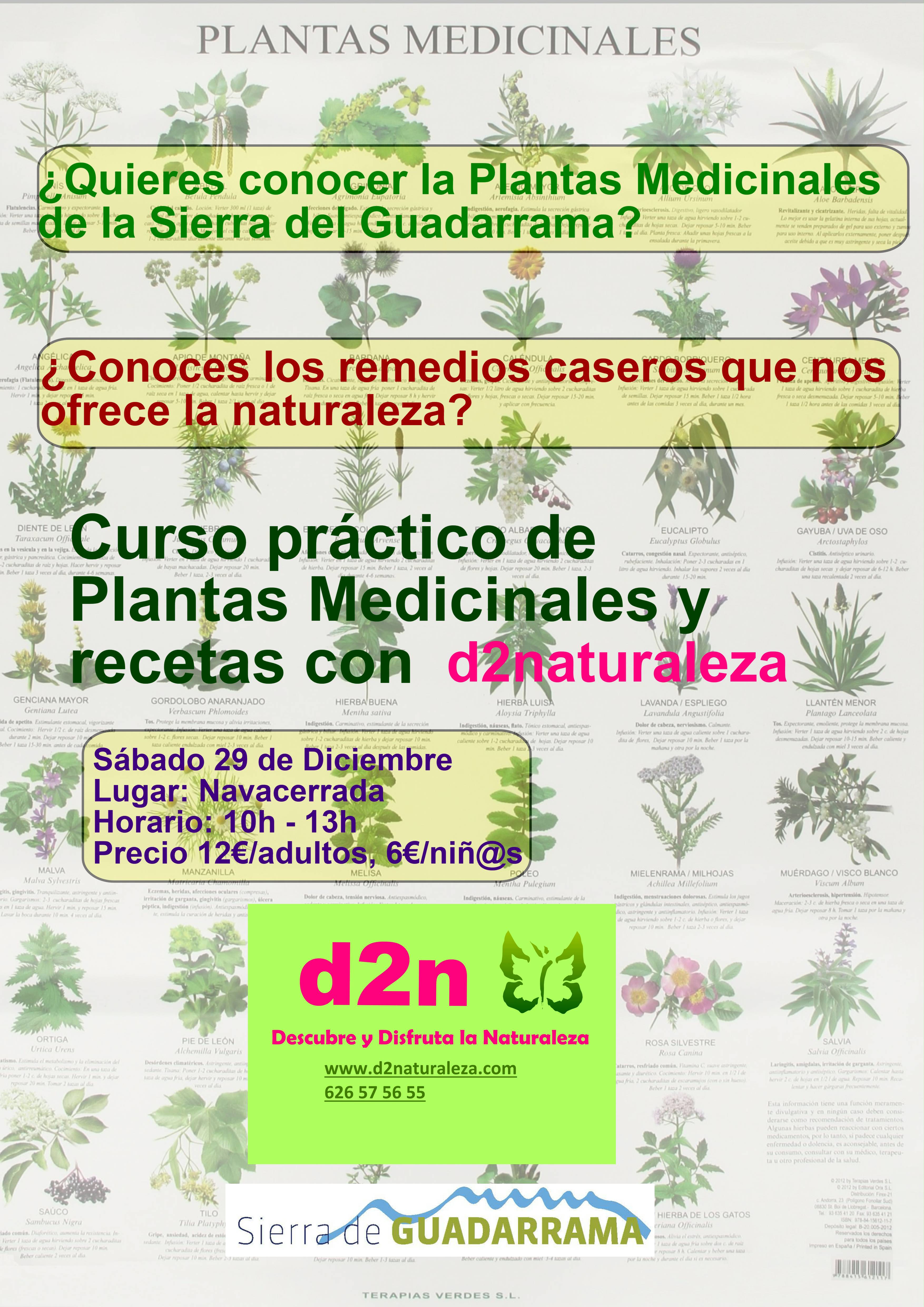 Plantas medicinales.jpg
